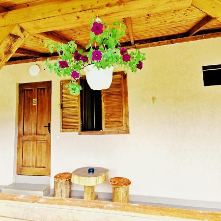 בית הארחה Sasca Montană 	Casa Borcean 2 מראה חיצוני תמונה