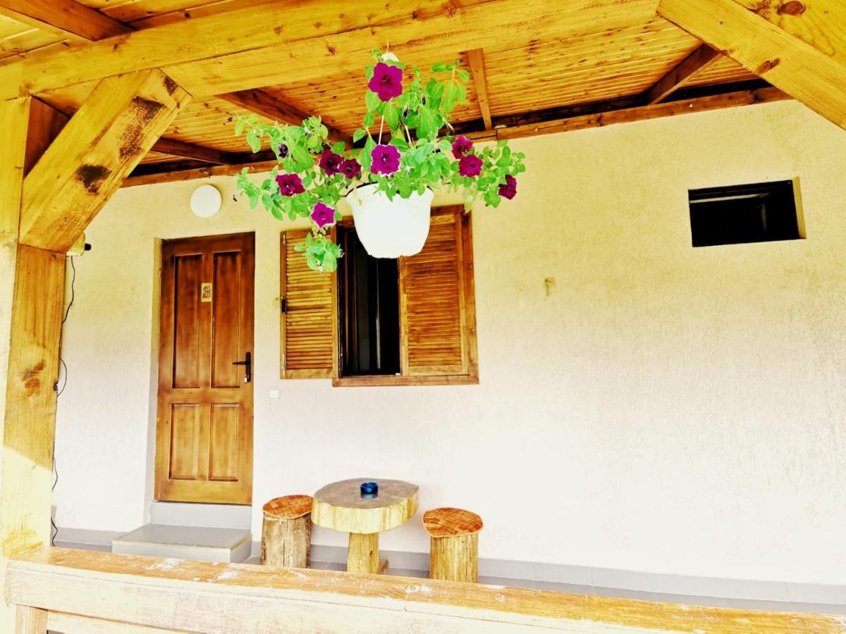 בית הארחה Sasca Montană 	Casa Borcean 2 מראה חיצוני תמונה