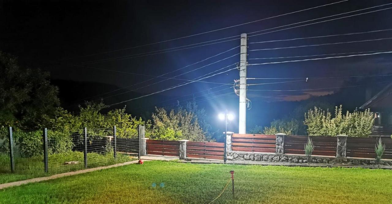 בית הארחה Sasca Montană 	Casa Borcean 2 מראה חיצוני תמונה