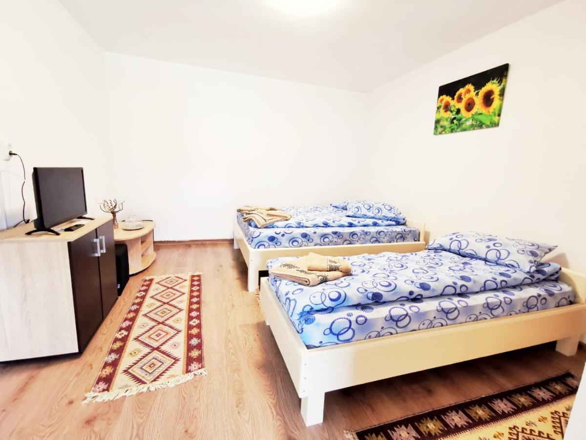 בית הארחה Sasca Montană 	Casa Borcean 2 מראה חיצוני תמונה