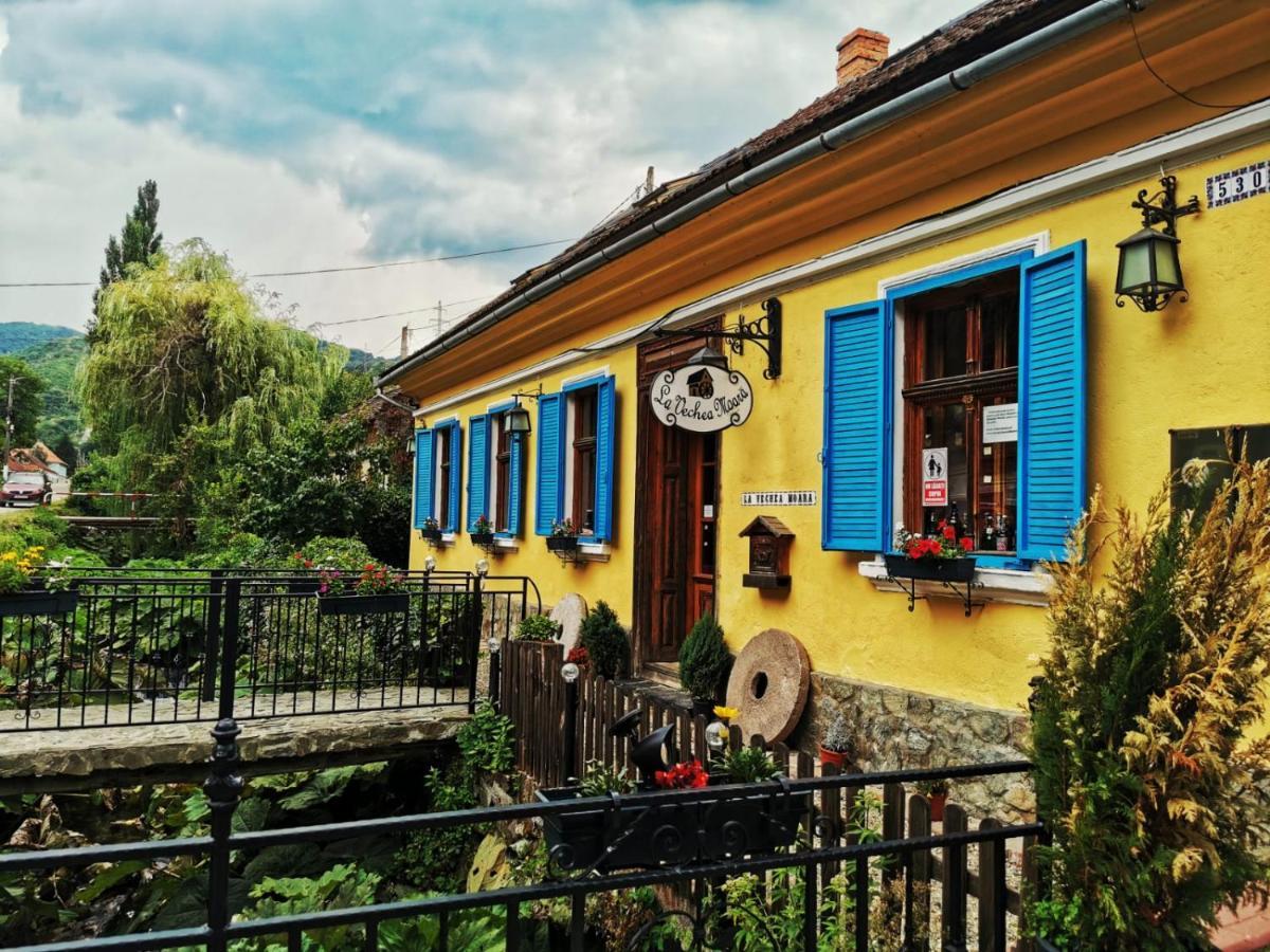 בית הארחה Sasca Montană 	Casa Borcean 2 מראה חיצוני תמונה